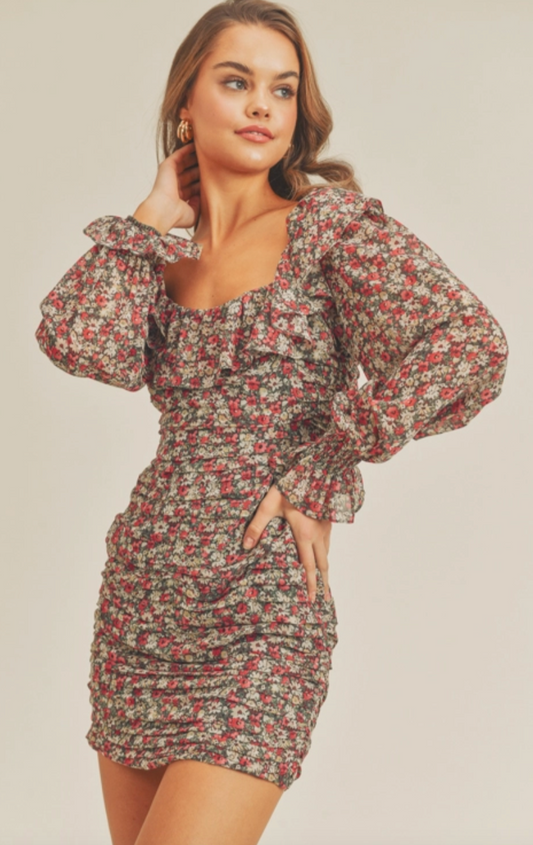 Taylor Longsleeve Printed Dress